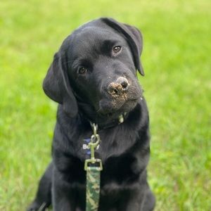 Meet your Posher, Christine